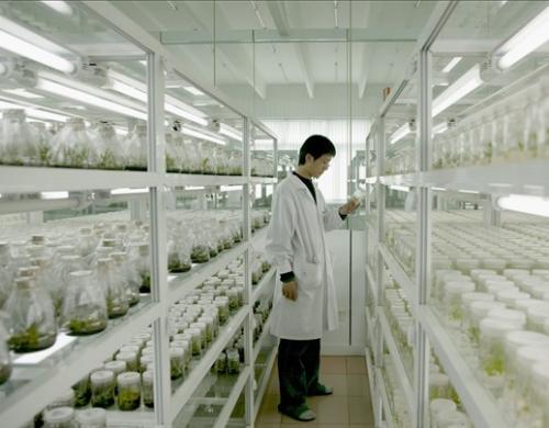 植物豆奶app在线观看中褐变的原因及其预防措施